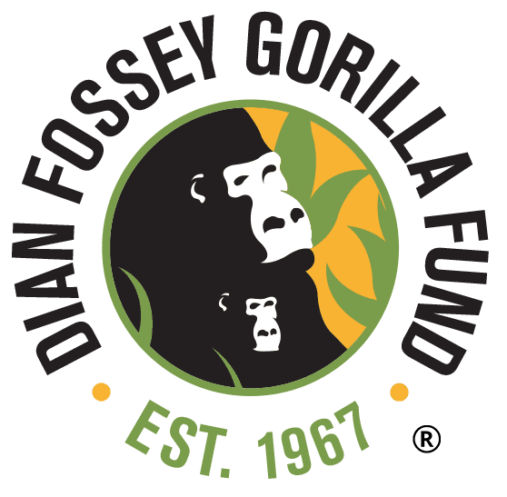 dian fossey gorilla fund